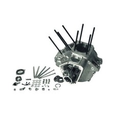 Cycle crankcase assembly - cycle,