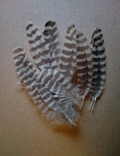 Fly tying / Native crafts /