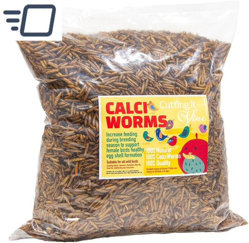 Dried calciworms for - dried,