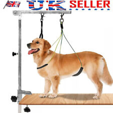 Adjustable Pet Grooming Table