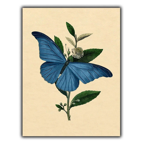 Vintage butterfly sign metal - vintage,