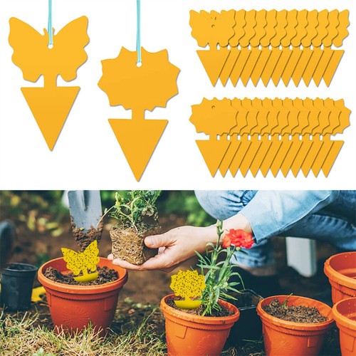 Yellow fly trap - yellow,
