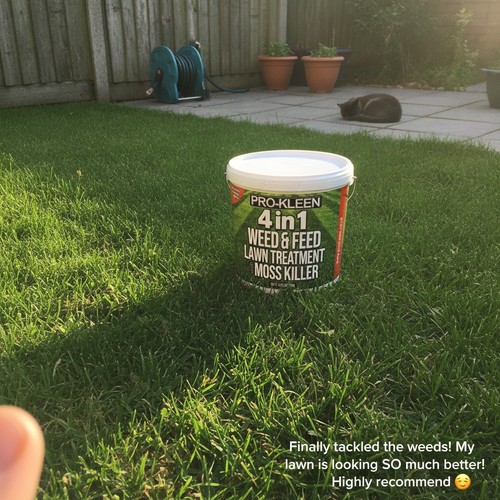Weed feed lawn - weed,