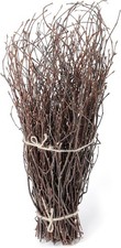 SOUJOY 100 PCS Birch Twigs for