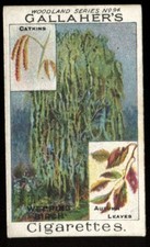 Tobacco Card, Gallaher