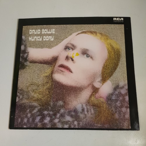 Vintage david bowie - vintage, "hunky