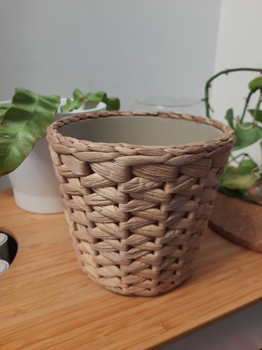 Ikea fridfull plant - ikea, pot