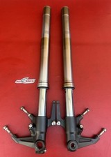 2009 2010 2011 2012 Triumph