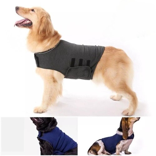 Pet dog calming - pet, shirt