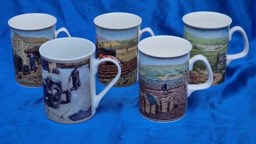 Five border fine arts bone - 5,