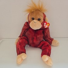 TY Beanie Babies Beanie