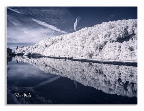 Converted infrared 720nm - infrared, ir