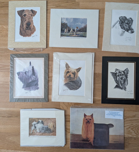 Vintage terrier dog - 8, prints