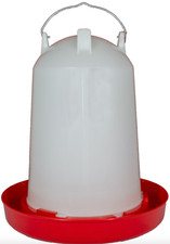 Large 12 LTR  Robust Hens