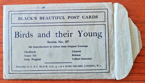 Birds and their - , young