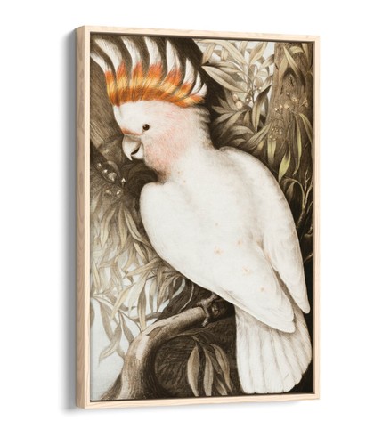 James sayer pink - james, sayer,