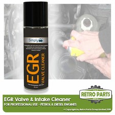 Direct EGR Valve Cleaner for