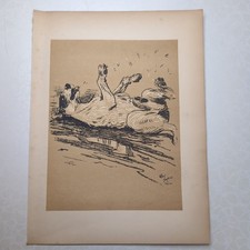 Original 1904 Antique Dog