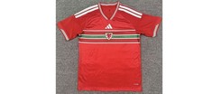 Wales Football Shirt 25/26