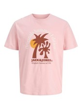 Jack & Jones JORDOWN Crew Neck