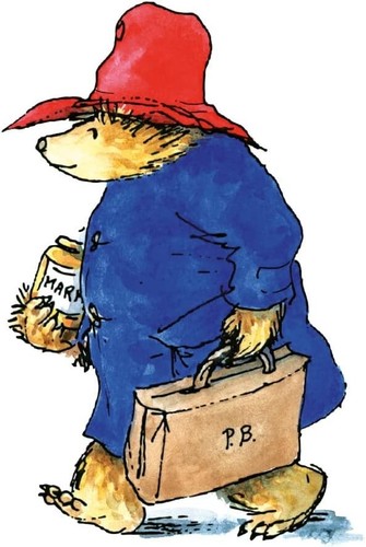Paddington birthday card - card, bear