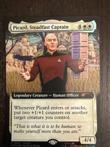 Picard steadfast captain - steadfast,