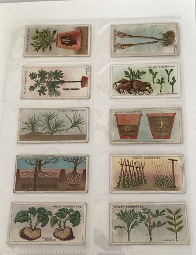 O wills 1923 gardening - h.o,