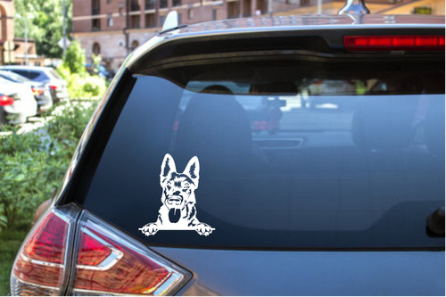 Custom dutch shepherd peekaboo - shepherd,
