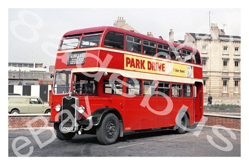 Bus photograph red white - photograph,