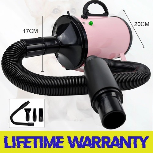 Dog hair dryer blower grooming - hair,