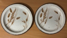 70s Vintage Wedgewood Midwinter Stonehenge Wild oats,  two dinner plates 26.5 cm