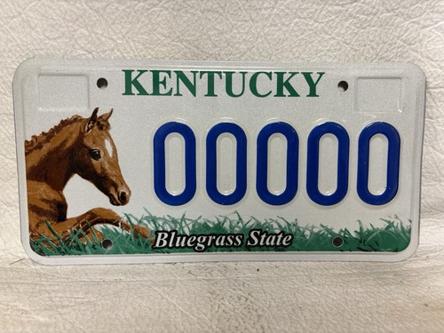 2000s kentucky horse council - 2000s,