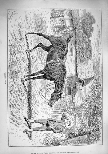 Original old antique print - old,