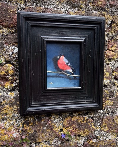 Bullfinch bird original signed - bullfinch,