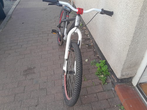 Rated mesh bike - mesh,