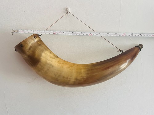 Vintage replica powder - replica, horn