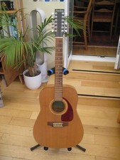 Simon And Patrick 12 String