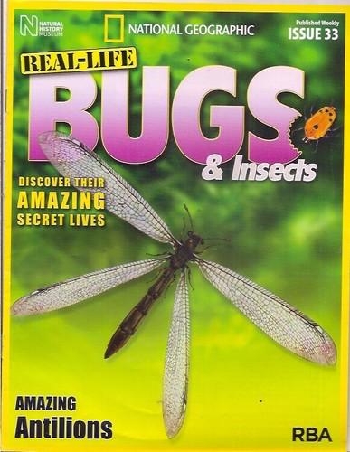 Real life bugs - bugs, &