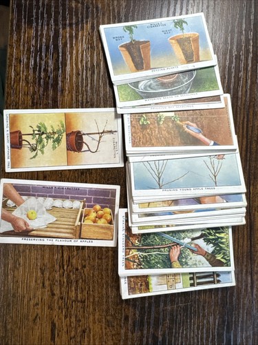 Wills cigarette cards garden - wills,