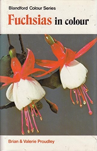 Fuchsias colour brian - fuchsias, in