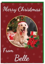 Personalised Photo Christmas Card From Your Pet Pets Dog Cat Rabbit Hamster