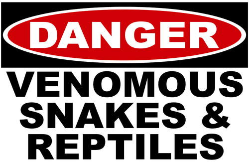Danger venomous snakes - danger,