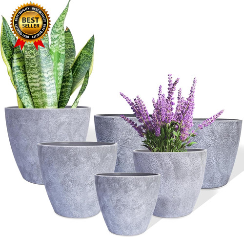 Plant pots indoor - 5, 6