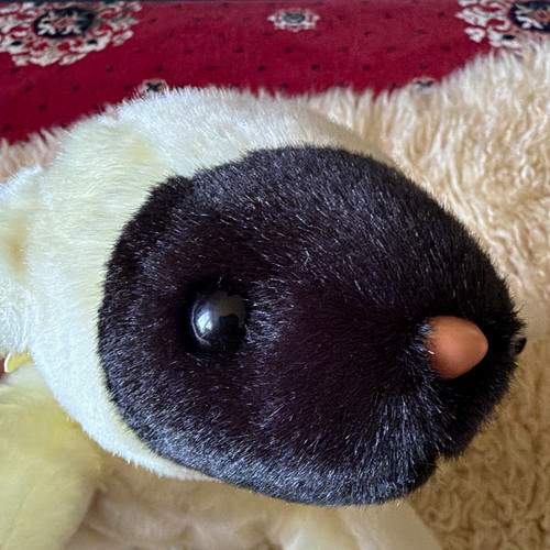 Beanie baby chops lamb - beanie,