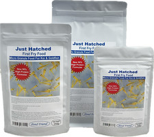 Pond Friend Just Hatched Fry