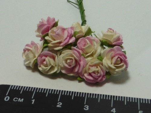 Scale roses r17 dolls - scale, 10