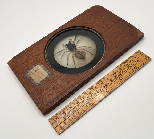 Antique magic lantern - magic,