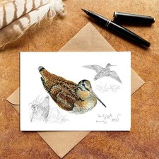 Woodcock greeting card - woodcock,