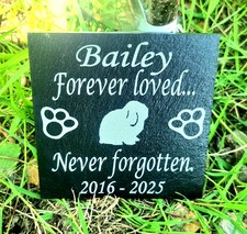 Rabbit memorial remembrance