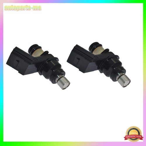 Fuel injector for - fuel,